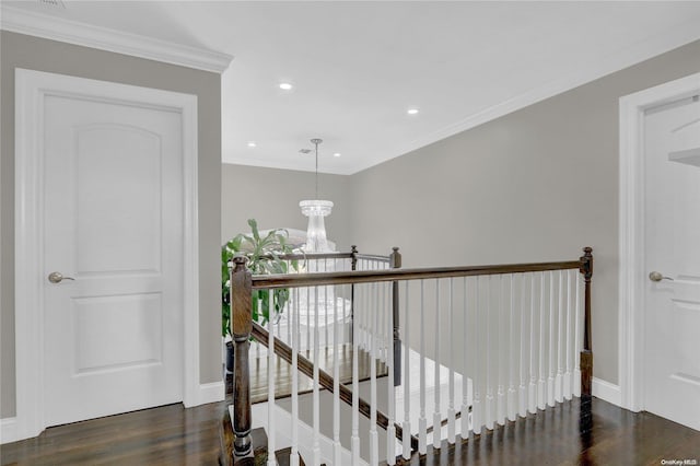 hallway with dark hardwood / wood-style floors, an inviting chandelier, and crown molding