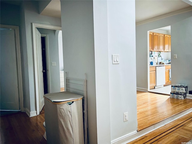 corridor featuring sink, dark wood-type flooring, and ornamental molding