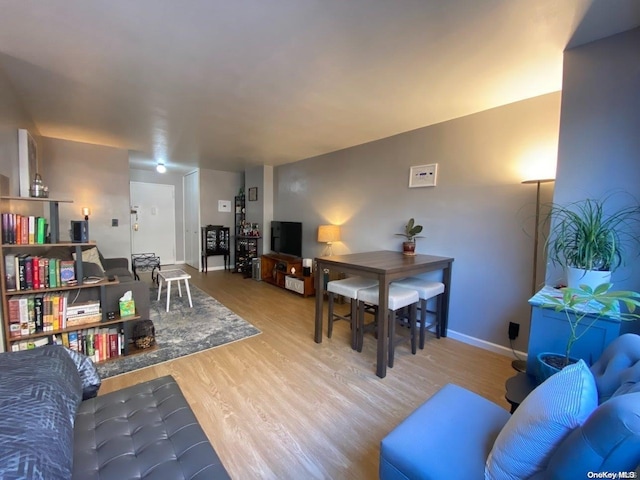 living room with light hardwood / wood-style flooring