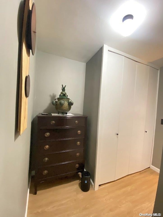 interior space with a closet and light hardwood / wood-style flooring