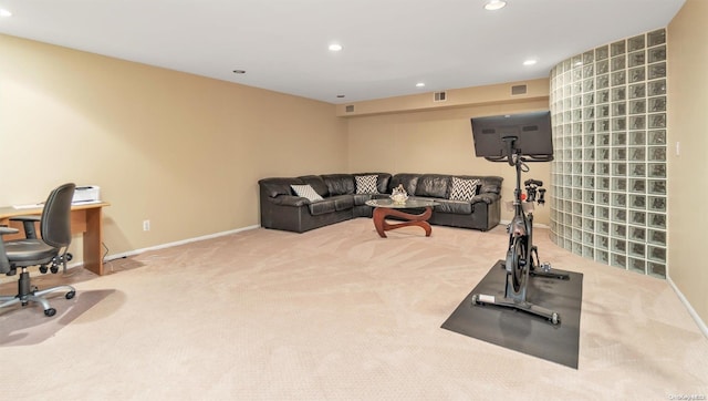 exercise area with carpet flooring