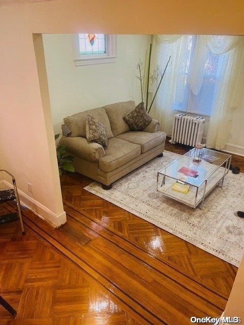 living room featuring radiator heating unit and parquet flooring