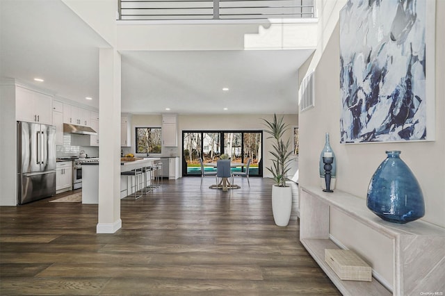 foyer entrance with dark wood-type flooring