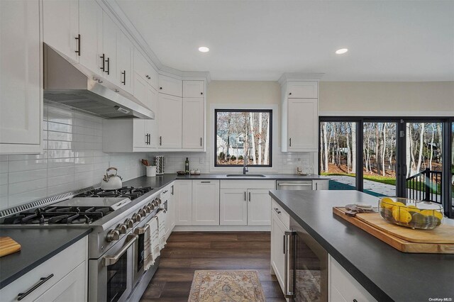 kitchen featuring a wealth of natural light, white cabinets, and stainless steel appliances