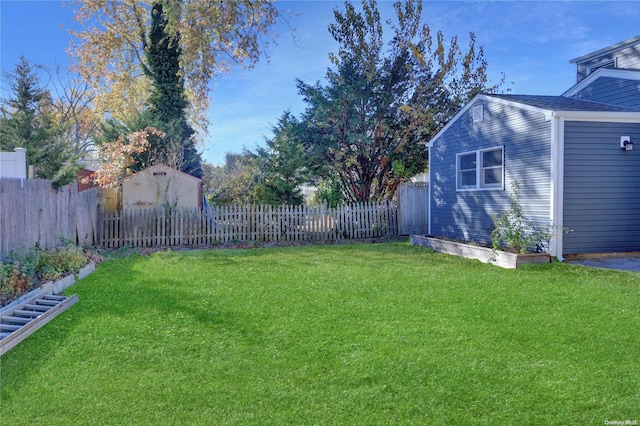 view of yard with a storage shed