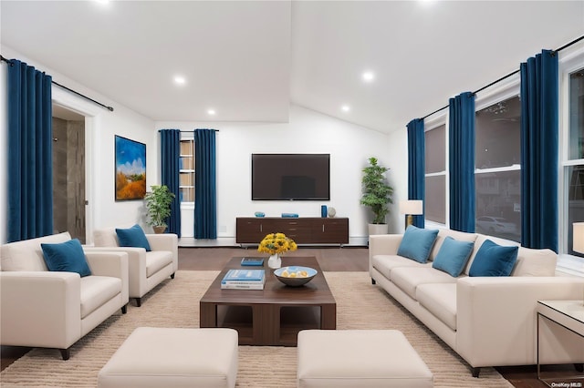 living room featuring lofted ceiling