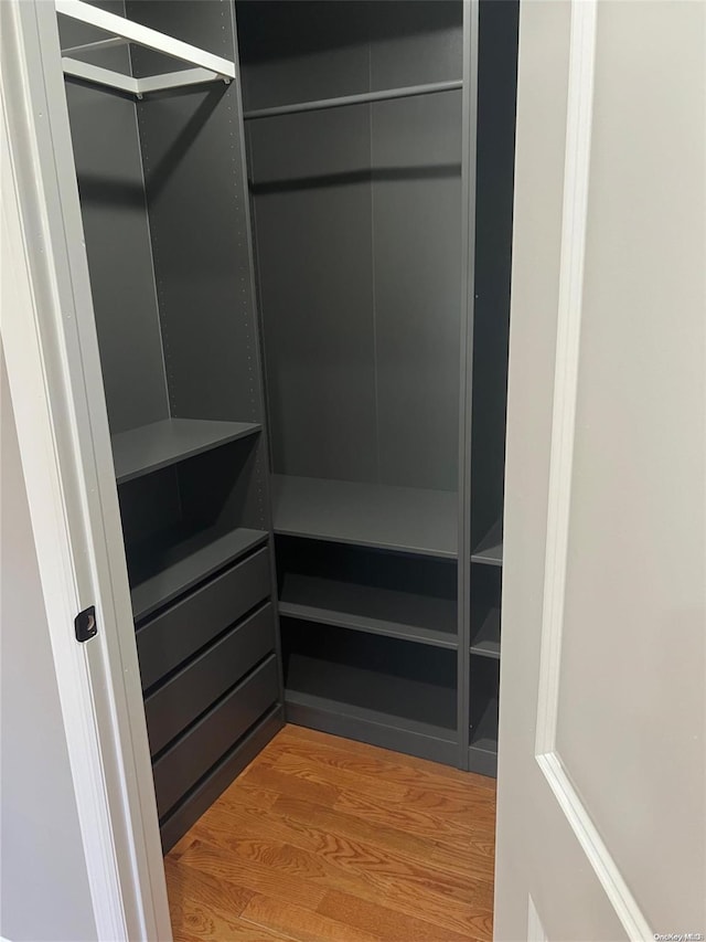 spacious closet with hardwood / wood-style floors