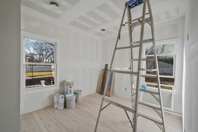 interior space with multiple windows and wood finished floors