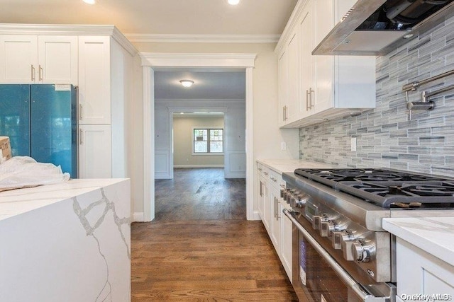 kitchen featuring dark hardwood / wood-style flooring, range hood, light stone counters, and high end stainless steel range