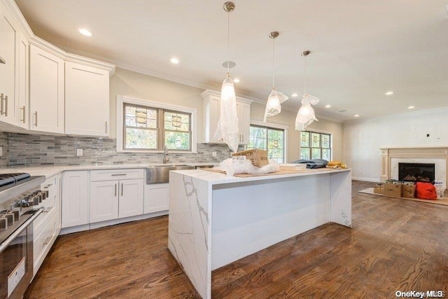 kitchen with white cabinets, plenty of natural light, dark hardwood / wood-style flooring, and high end stove