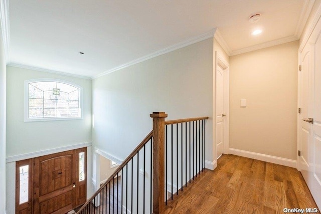 corridor featuring crown molding and hardwood / wood-style flooring