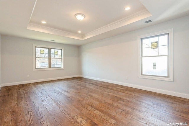 empty room featuring a tray ceiling, a wealth of natural light, wood-type flooring, and ornamental molding