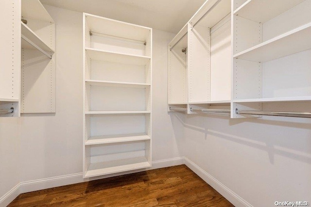 spacious closet with dark wood-type flooring