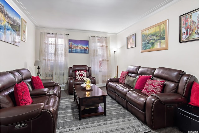 living room featuring ornamental molding