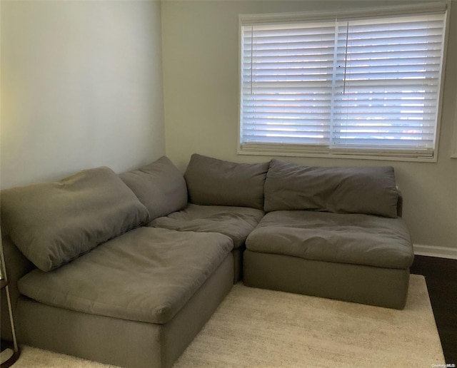 carpeted living room with a wealth of natural light