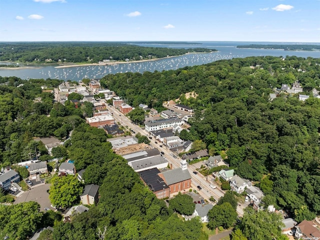 drone / aerial view with a water view