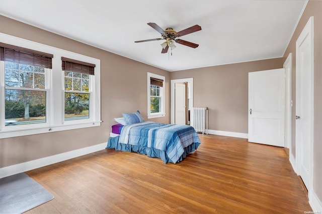 bedroom featuring ceiling fan, light hardwood / wood-style floors, radiator, and multiple windows