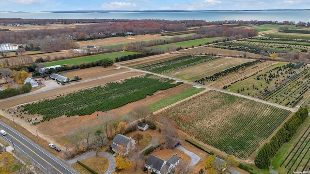 aerial view with a rural view and a water view