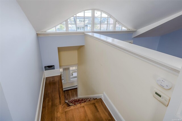 staircase featuring vaulted ceiling, wood-type flooring, a wealth of natural light, and a baseboard radiator
