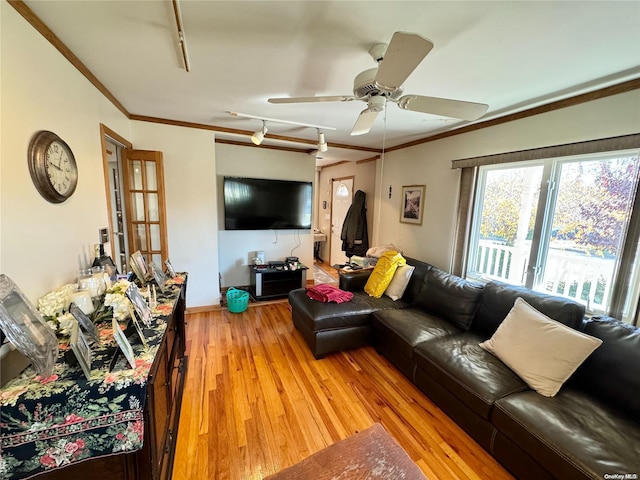 living room featuring rail lighting, light wood-type flooring, ceiling fan, and ornamental molding