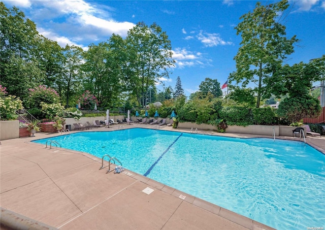 view of pool with a patio