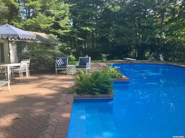 view of swimming pool featuring a patio area