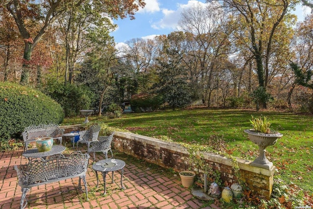 view of yard with a patio