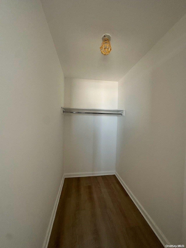 spacious closet featuring dark hardwood / wood-style floors