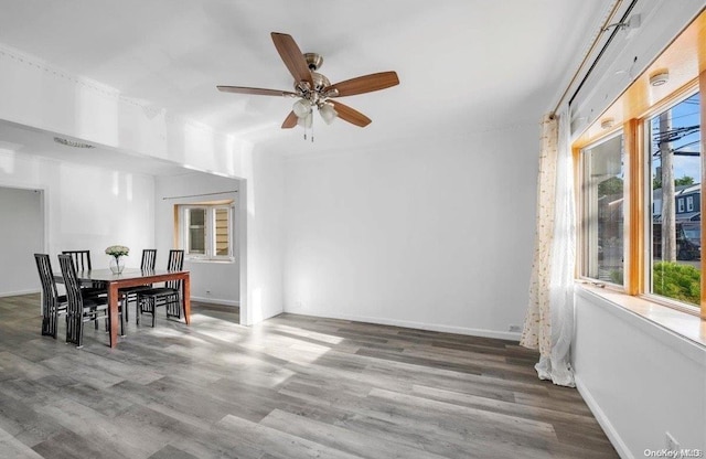 dining room featuring wood-type flooring, plenty of natural light, and ceiling fan