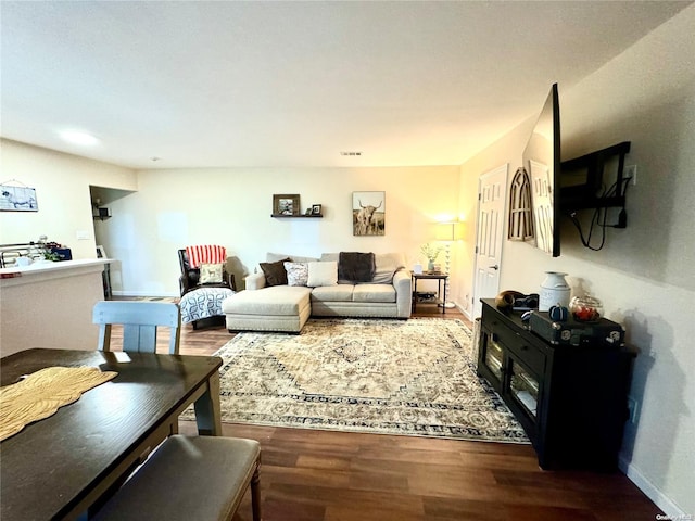 living room featuring wood-type flooring