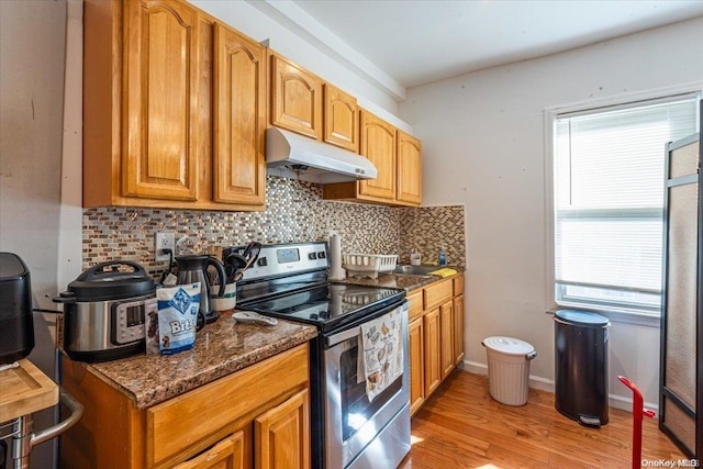 kitchen featuring backsplash, light hardwood / wood-style flooring, stainless steel electric range oven, and a wealth of natural light