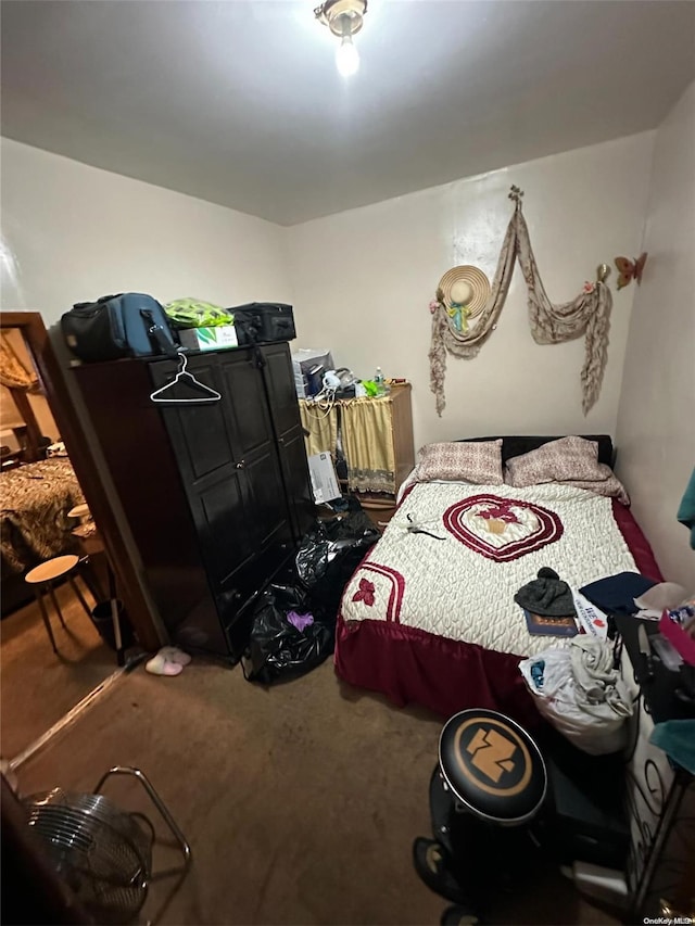 229 Nichols Ave, Brooklyn, NY 11208 - view of carpeted bedroom