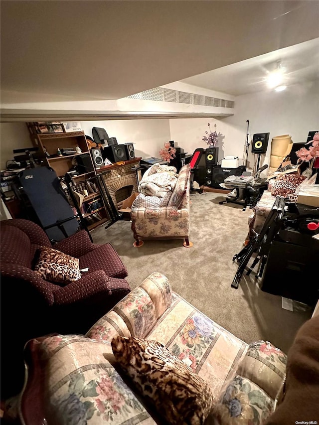 229 Nichols Ave, Brooklyn, NY 11208 - view of carpeted living area