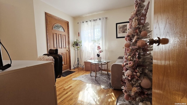 entryway featuring light hardwood / wood-style floors