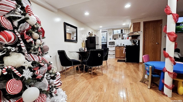 interior space featuring light hardwood / wood-style floors