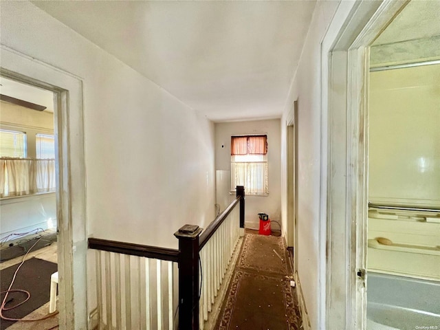 hallway with a wealth of natural light