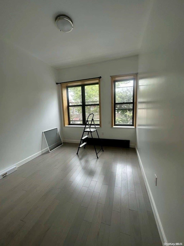 empty room featuring a wealth of natural light and wood-type flooring