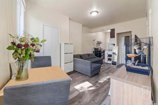 living room with dark wood-type flooring