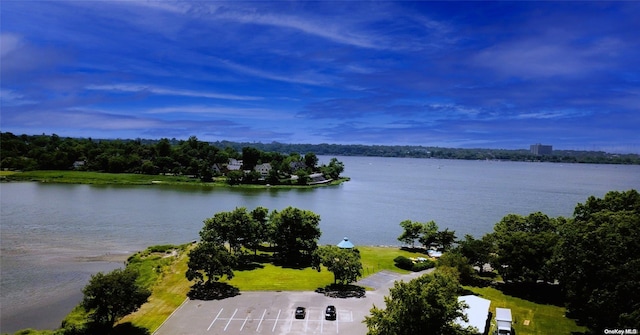 218 Middle Neck Rd Unit 301, Great Neck, NY 11021 - drone / aerial view of a large body of water