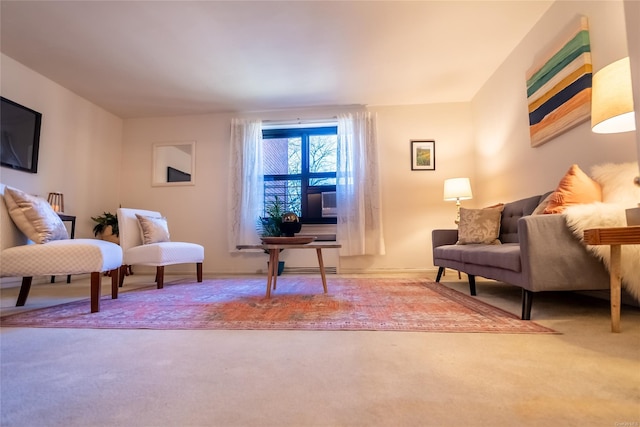 sitting room with carpet