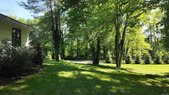 471A Woodbury Rd Unit A, Cold Spring Harbor, NY 11724 - view of green lawn