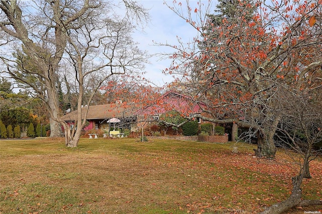 view of yard