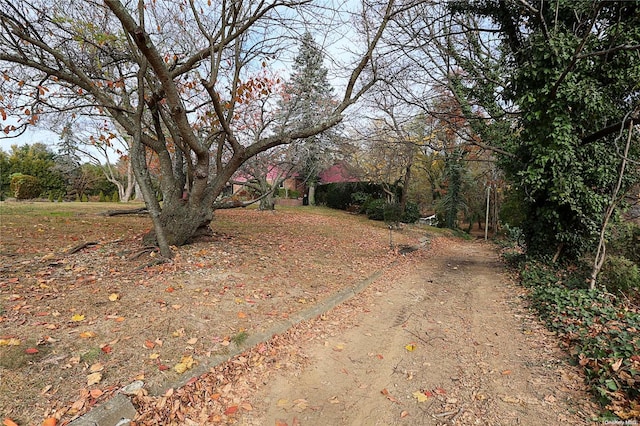 20 Rolling Hill Rd, Old Westbury, NY 11568 - view of road