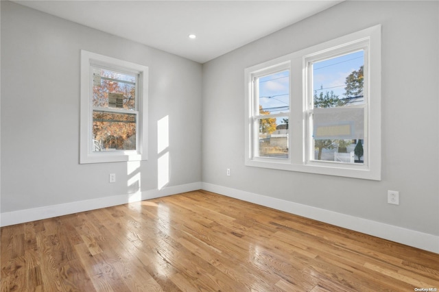 unfurnished room featuring light wood-type flooring and plenty of natural light