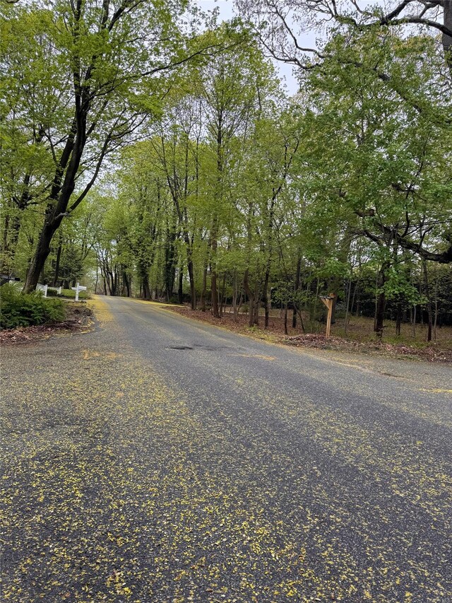 view of road