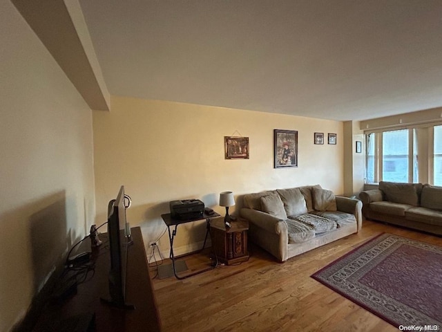 living room featuring hardwood / wood-style flooring