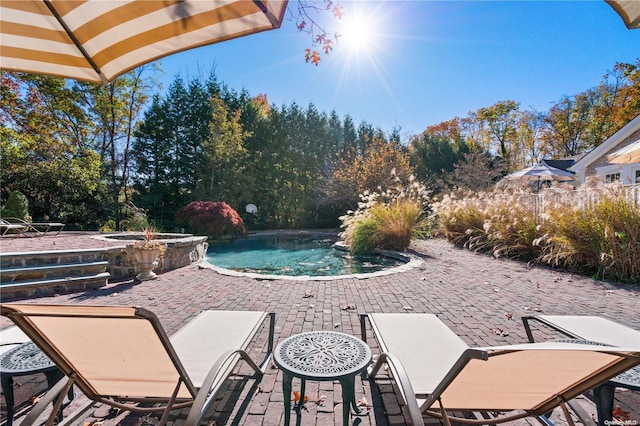 view of pool featuring a patio area