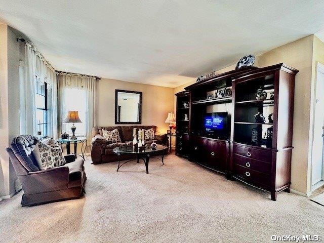 living room featuring light colored carpet