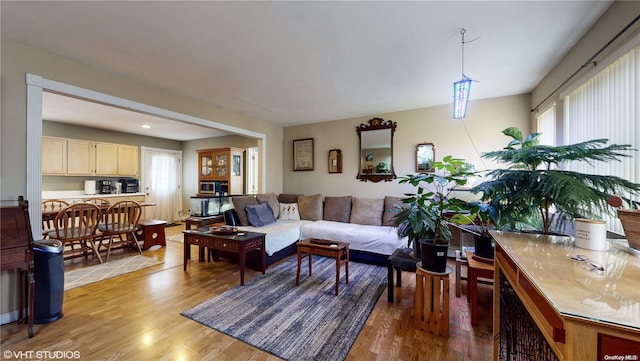 living room featuring light hardwood / wood-style floors and a wealth of natural light