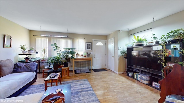 living room with light hardwood / wood-style flooring